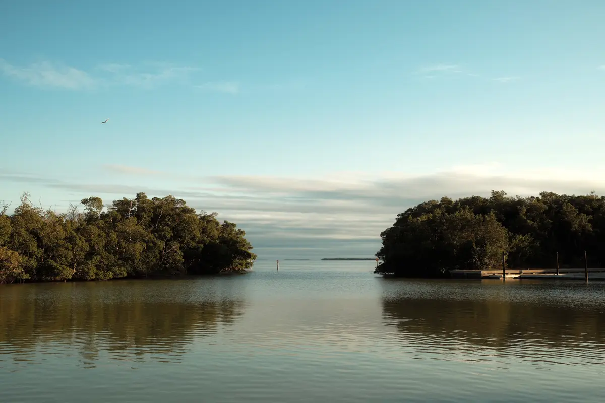 Florida landscape
