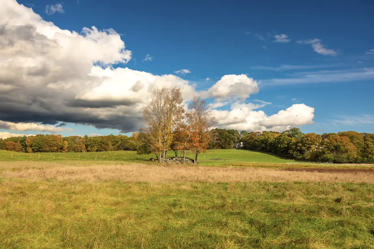 Massachusetts landscape