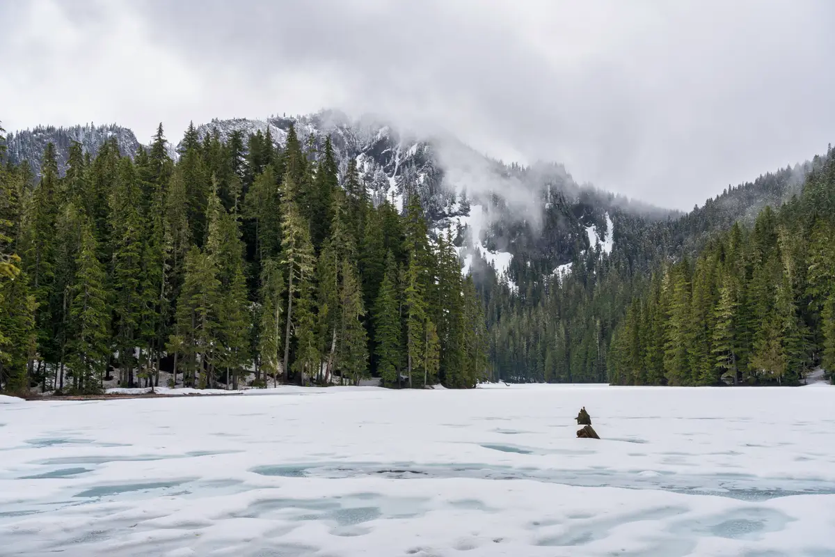 Washington landscape